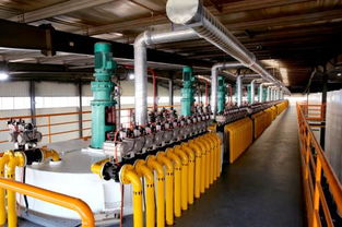 韋爾斯4.0智慧工廠震撼經銷商，技術開發共創新篇章