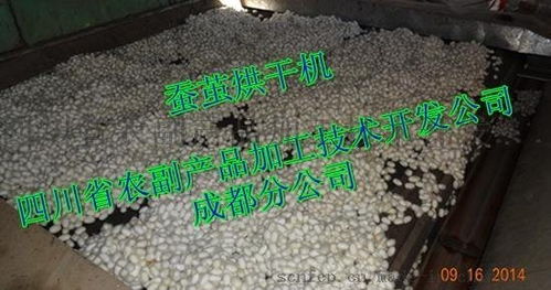高效蠶繭烘干技術及設備展示——四川省農副產品加工技術開發公司成都分公司專業服務